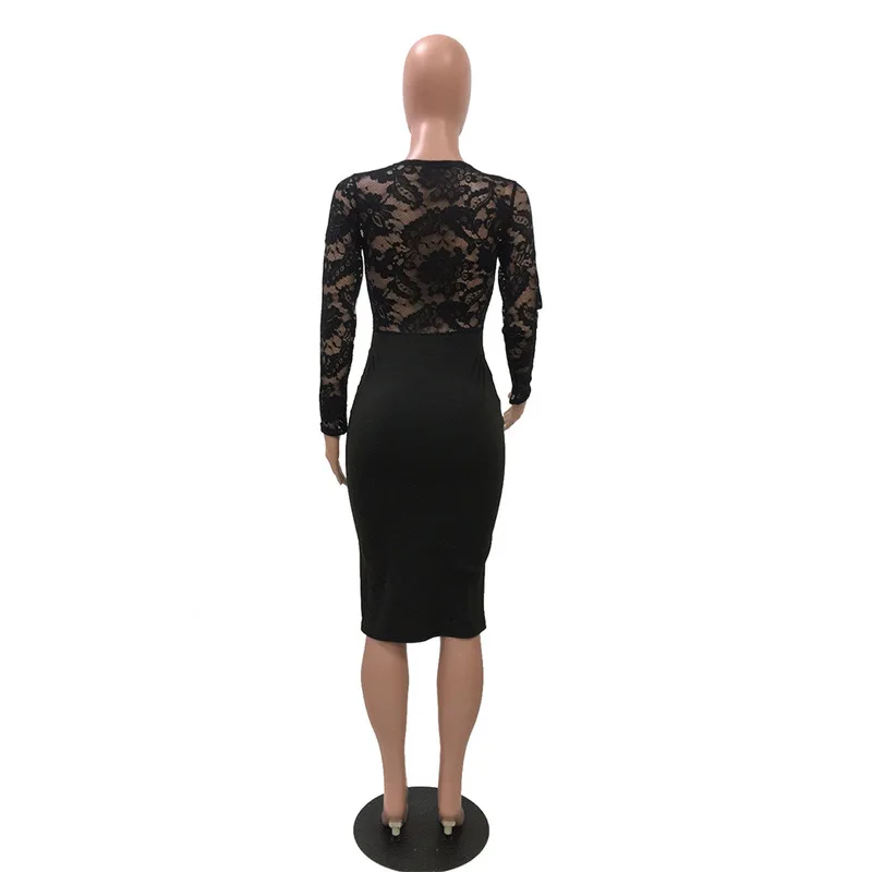 

Women Elegant Pencil Dress Sheer Lace Spliced O Neck Long Sleeve Perspective Dress Autumn Hollow Out Slim Fit Knee Length Dress