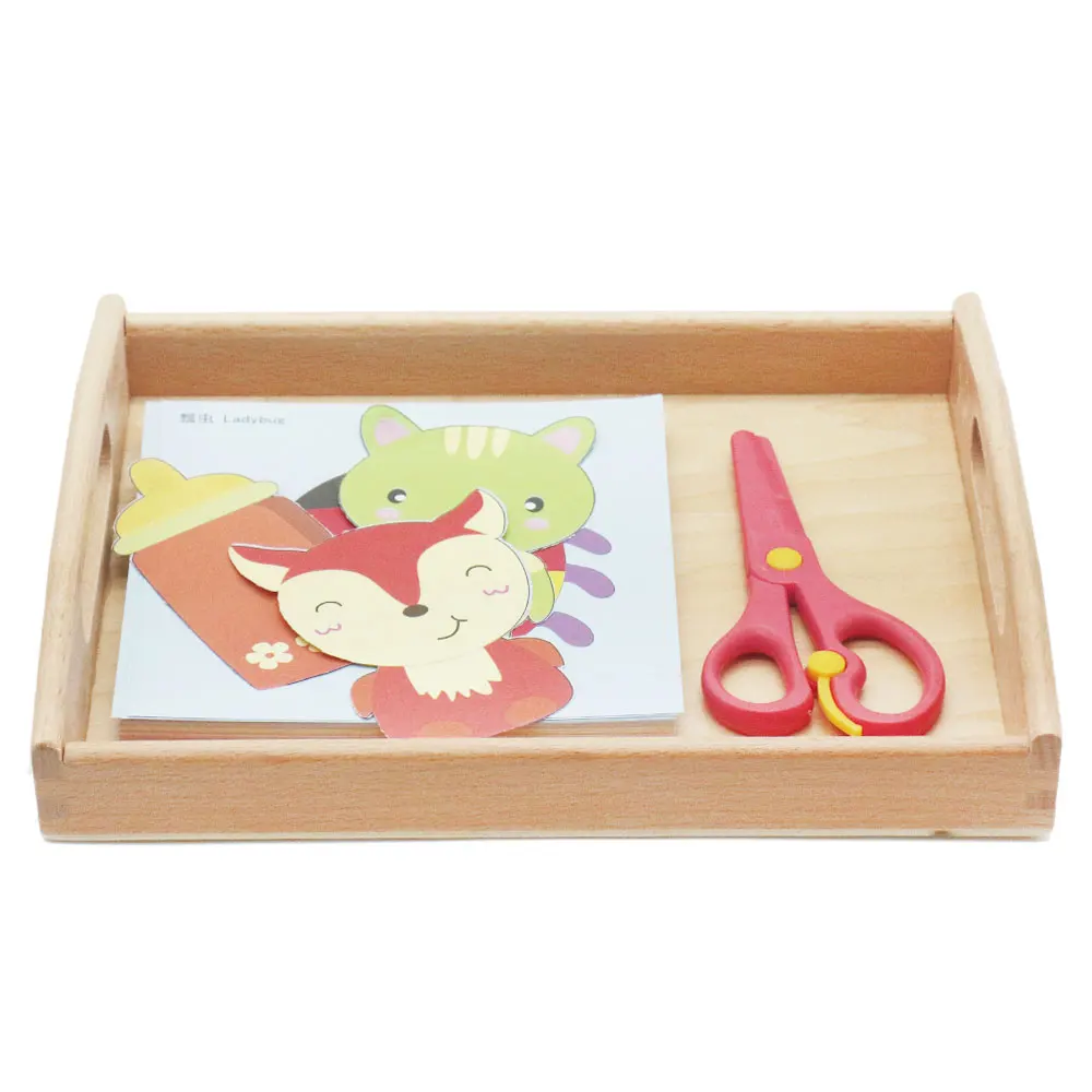 Деревянные Монтессори Образовательные Зубы Модель практическая жизнь для