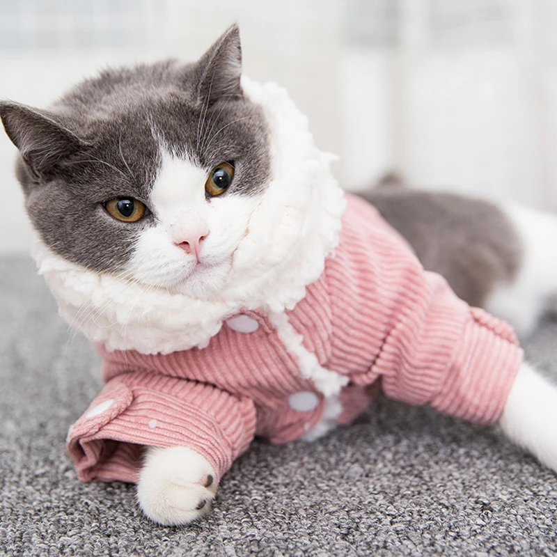 Зимняя одежда для собак и кошек Вельветовая куртка йоркширских терьеров