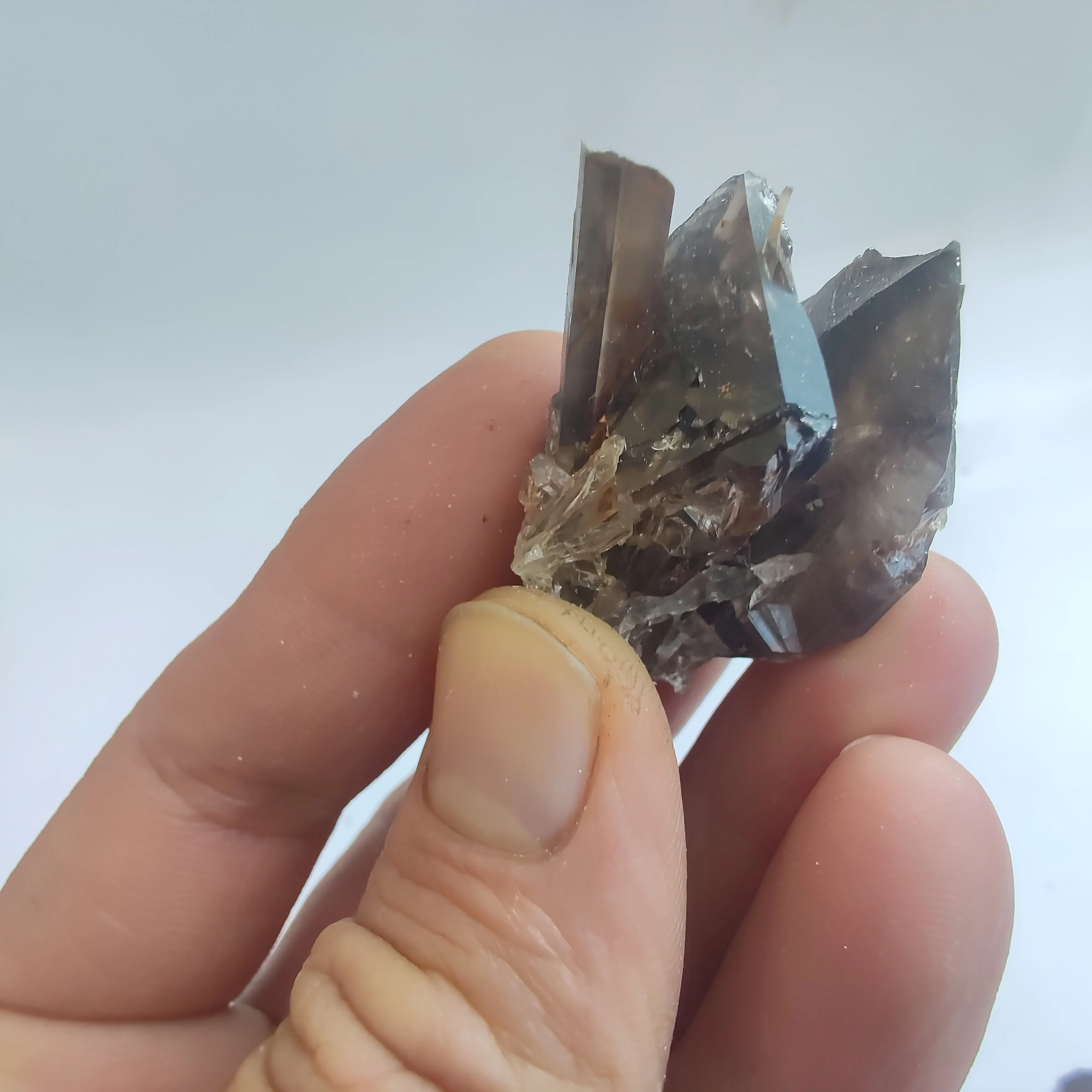 

Natural Smoky Quartz Cluster Crystal Specimen Reiki Healing Reiki Stone Gift Succulent Planting Paving Stone