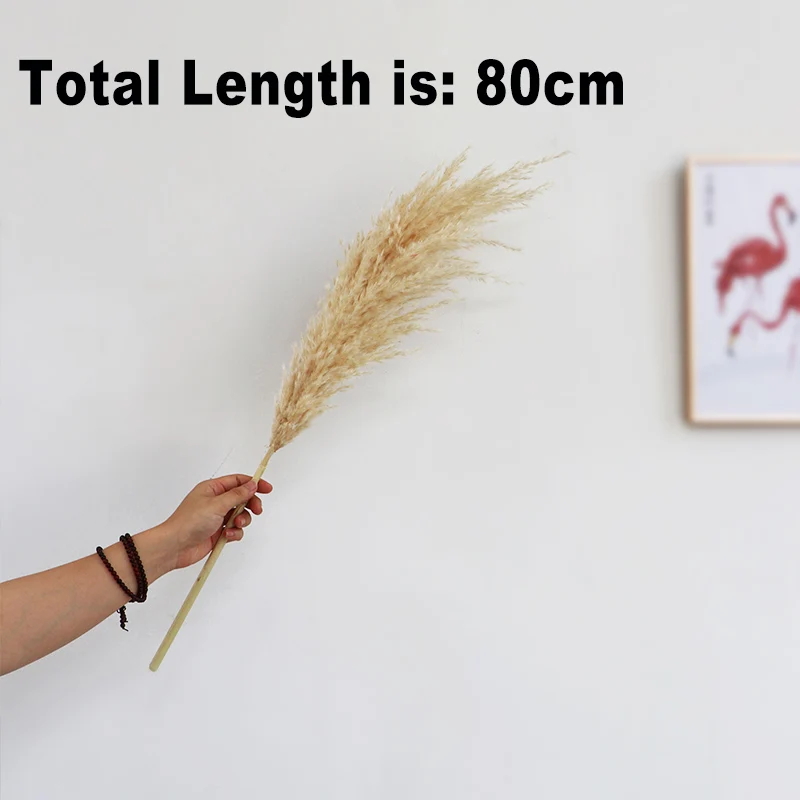 

80CM Wedding Party Use Natural Pampas Flowers Bunch Dried Plants Christmas Room Decor Dry Flower Bouquet Home Table Decoration