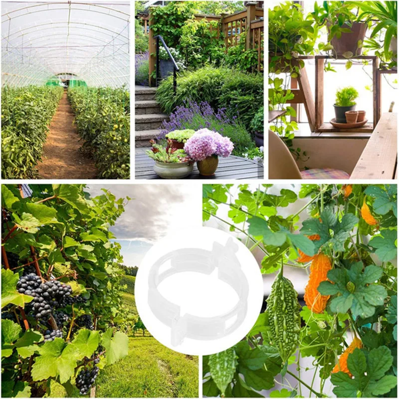 Пряжка в комплекте для садовых растений зажимы виноградной лозы крепления