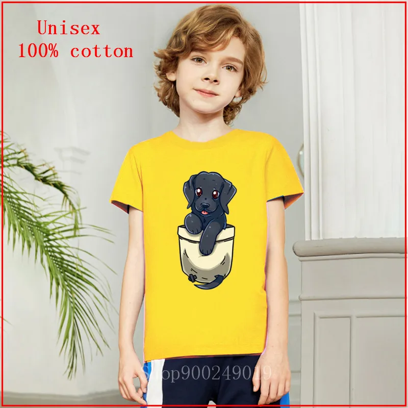 2020 летняя черная лаборатория Черный Лабрадор Собака ретривер Милая карманная