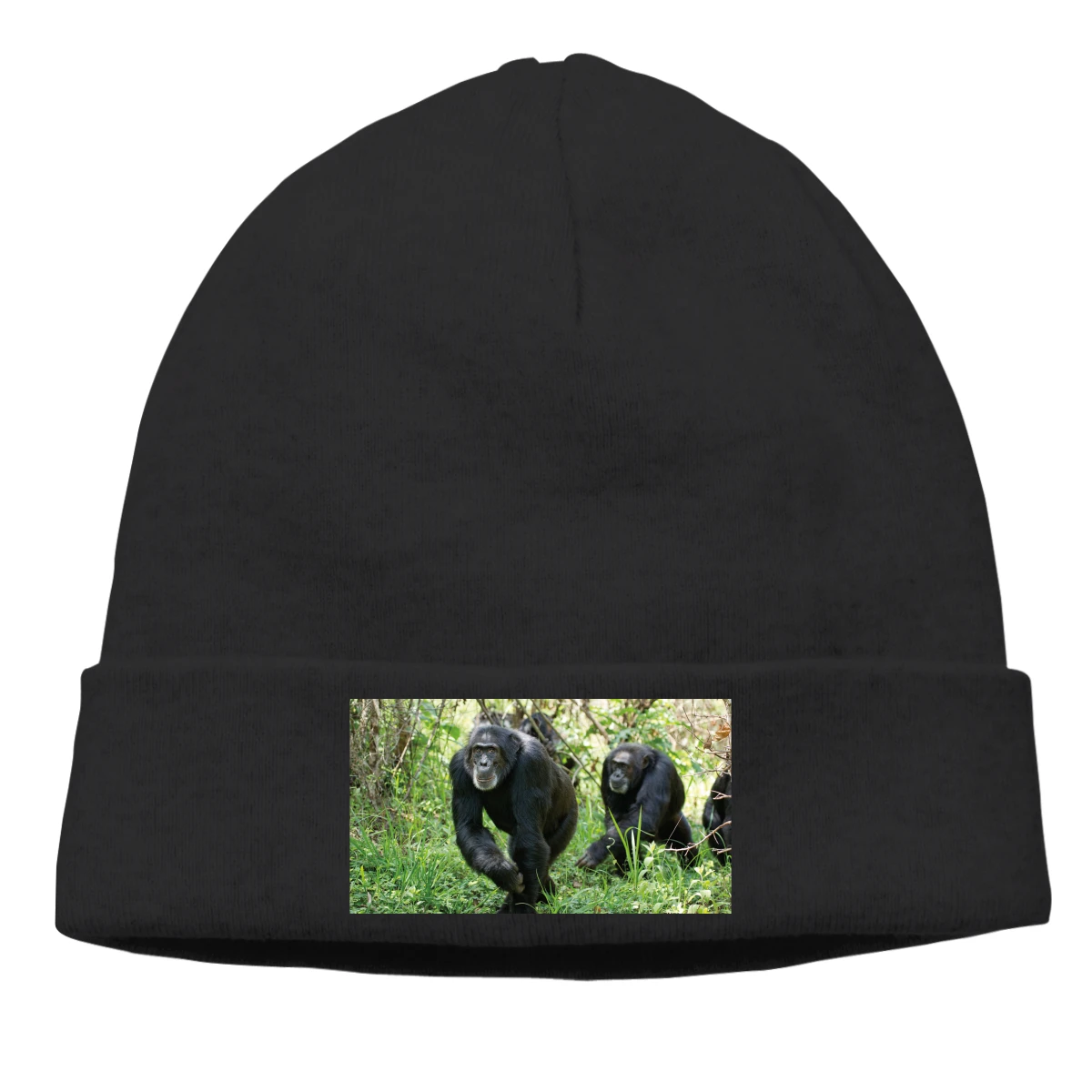 

Orangutans Men Ms cycling hat fishing hat