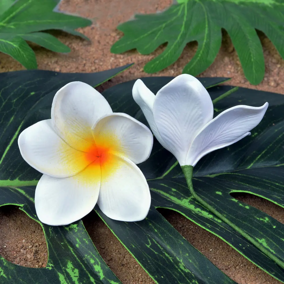 Рисунок 2 - Бесплатная доставка