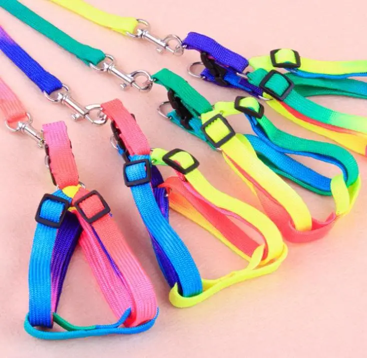 Цветная шлейка для собак Нейлоновый Регулируемый ошейник домашних питомцев