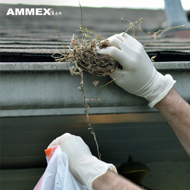 

XLFRT AMMEX disposable latex gloves-100 pcs