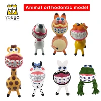 interesting animal models of dental orthodontics teeth handicraft dentist gift dental hospital or clinic decoration furnishing