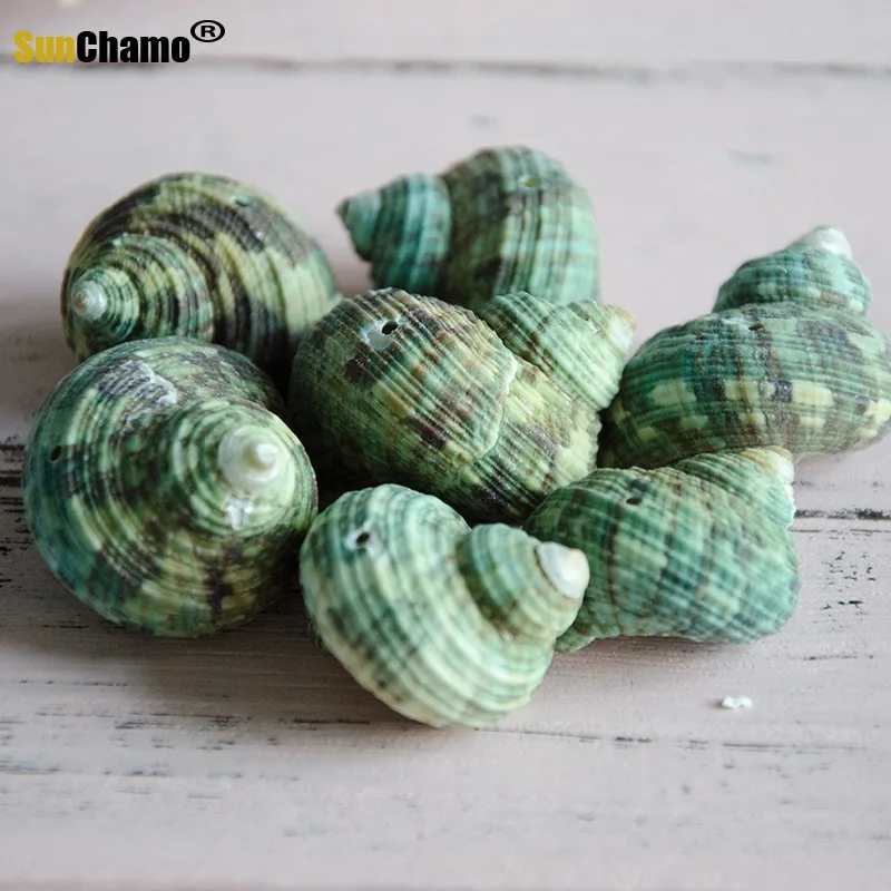 Hot Sales Creative DIY Shell Wind Bell Material Package Kindergarten Children Parent-child Intelligence Handmade Contest Hanging | Дом и сад