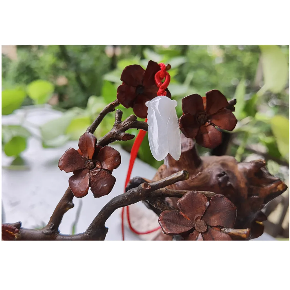 

Natural Jade Cicada Pendant Jadeite Emerald Necklace Carved Charm Jewellery Fashion Amulet for Men Women Lucky Gifts