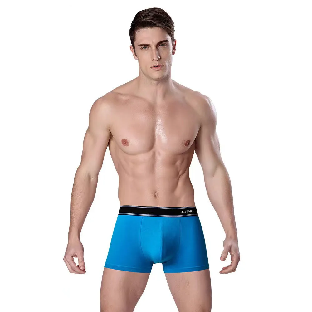 4Pcs/Lot Men's Underwear Sexy Modal Men's Boxer Shorts Autumn And Winter Organic Cotton Breathable Men's Boxer Shorts