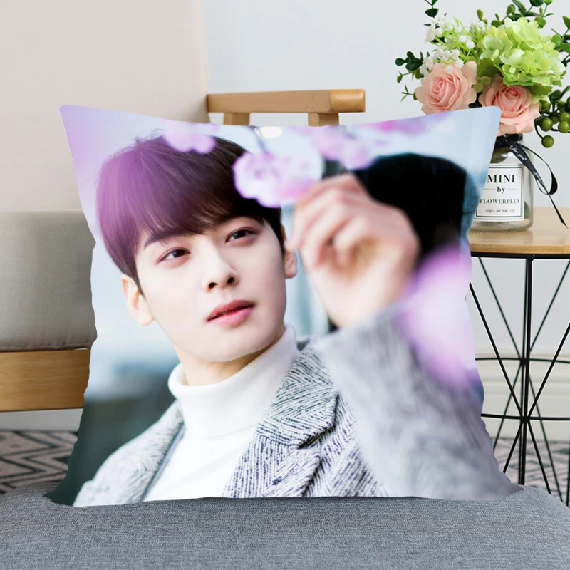 KPOP Cha EunWoo чехол для подушки дома декоративный на невидимая Подушка молнии s 40x40 45x45
