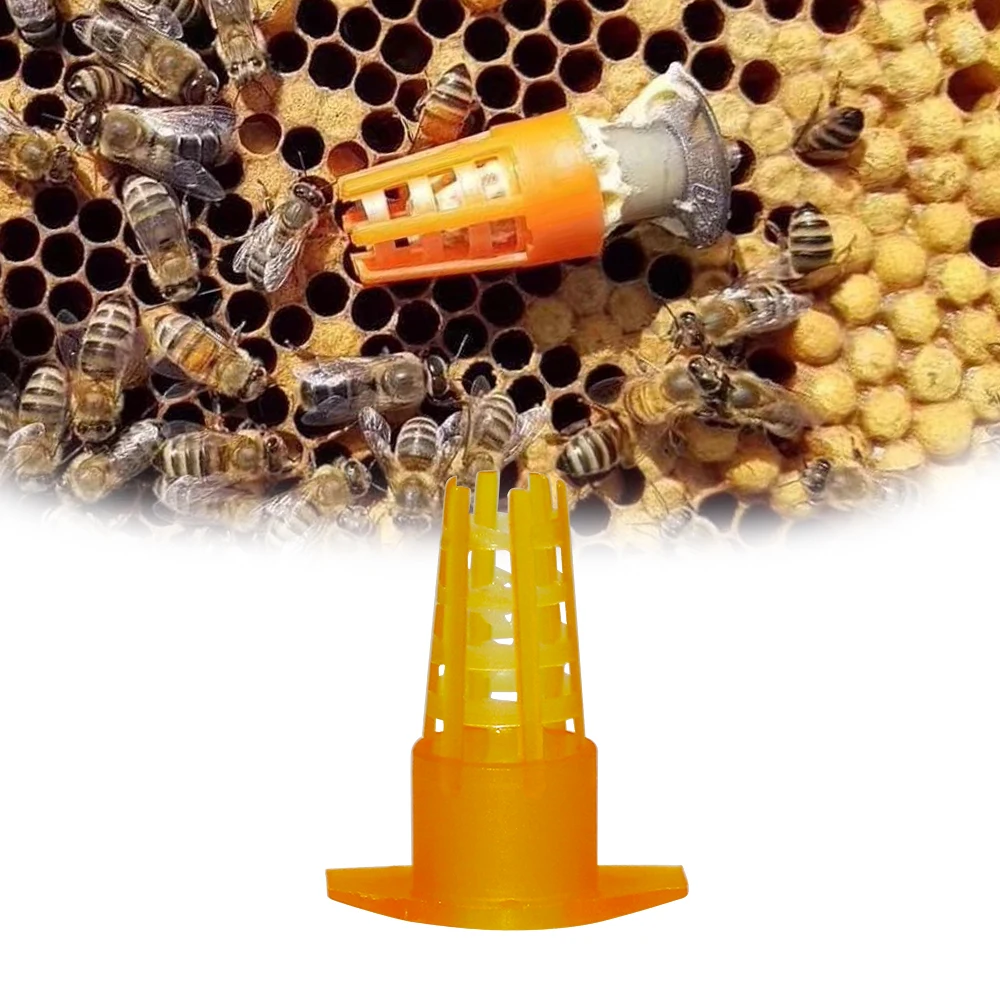 Пластиковая защитная крышка для пчелиной королевы 20 шт.|Инструменты