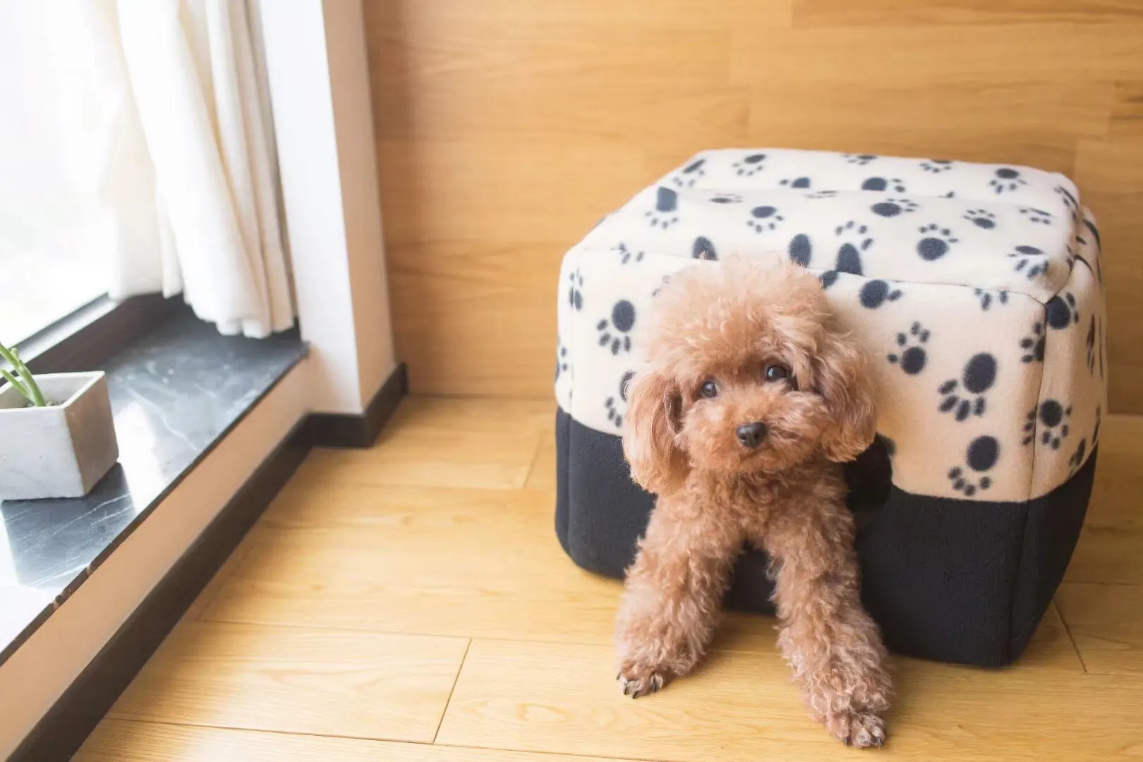 Зимняя кровать для кошек и собак мягкий теплый коврик сна в виде щенков пещер