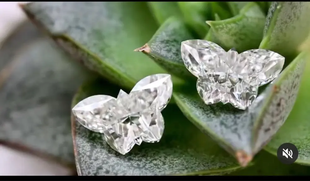 2 carat d color vvs1 Butterfly Moissanite Diamond With Certificate | Украшения и аксессуары