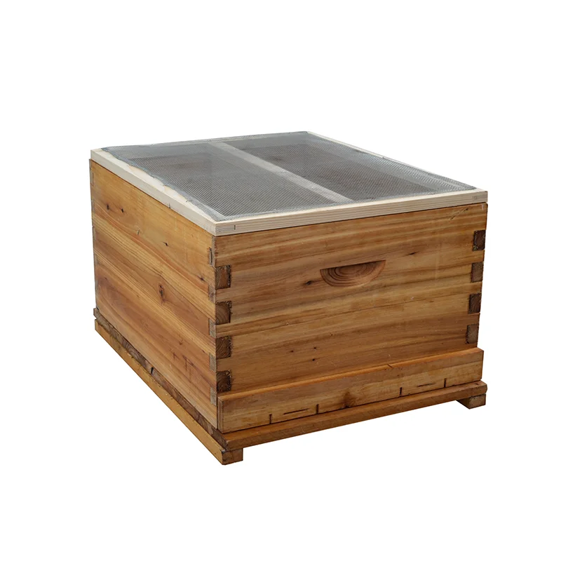 Вощеный одноуровневый улей и 5 шт. оснований для основы пчелового воска в рамке