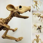 Хэллоуин скелет кошка собака мышь реквизит кости животных вечевечерние НКА магазин украшение ужас