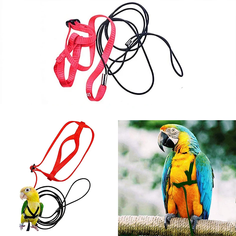 

Bird Harness Adjustable Parrot Leash Bird Rope Anti Bite for All Kinds of Parrot