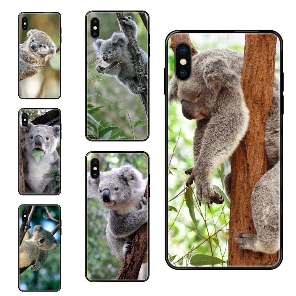 Черный мягкий чехол для телефона из ТПУ с рисунком медведя коала распродажа Apple