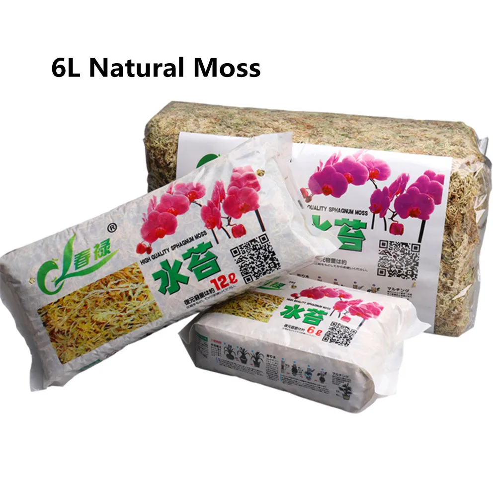 

6L Natural Moss Garden Supplies Moisturizing Nutrition Organic Fertilizer For Phalaenopsis Orchid Musgo Sphagnum Flowerpot 2021