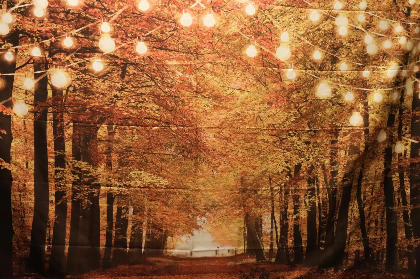 

Gold Fall Forest Backdrop Autumn Leaves Scene Backdrops Sparkle Natural Scene Photography Background