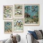 Французский художник Адольф миллот Картина на холсте настенные картины винтажные абстрактные растения животные художественные принты фермерский Декор