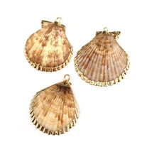 natural shell pendants charms necklace pendant for jewelry making diy bracelet necklaces accessories size 40x48mm