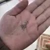Изображение товара 1