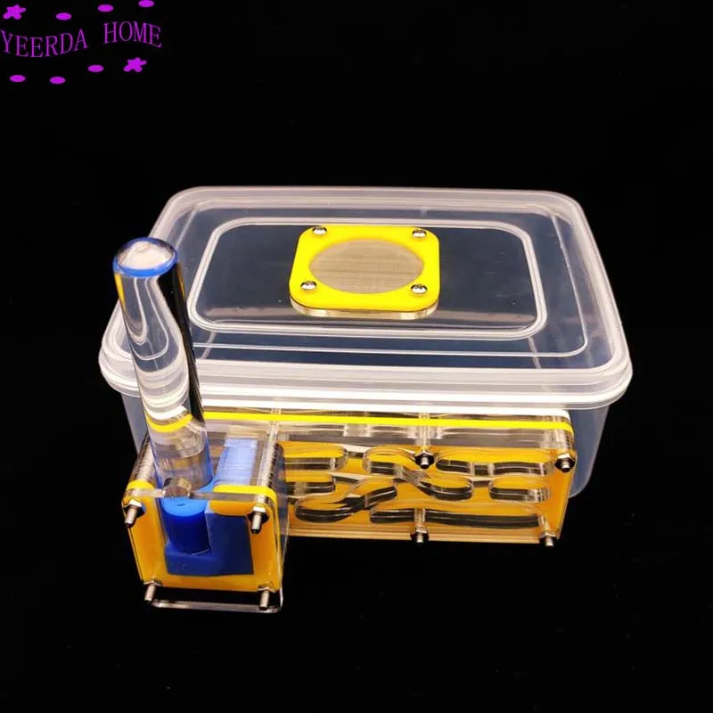 2019 новое гнездо муравья акриловое насекомое вилла мастерская детская технология