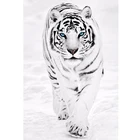 Алмазная вышивка 5D, набор для рукоделия животное белый тигр, алмазная живопись сделай сам, вышивка крестиком, подарок для украшения дома