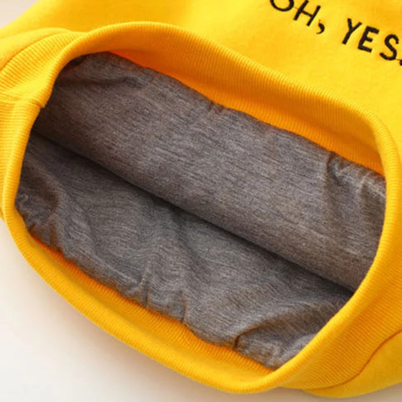 

2020 Autumn Winter Long Sleeve Boy Hoodies Sweatshirt Girl Toddler Kids Clothes T-shirt Baby Letter Pattern Top 2-8 Years