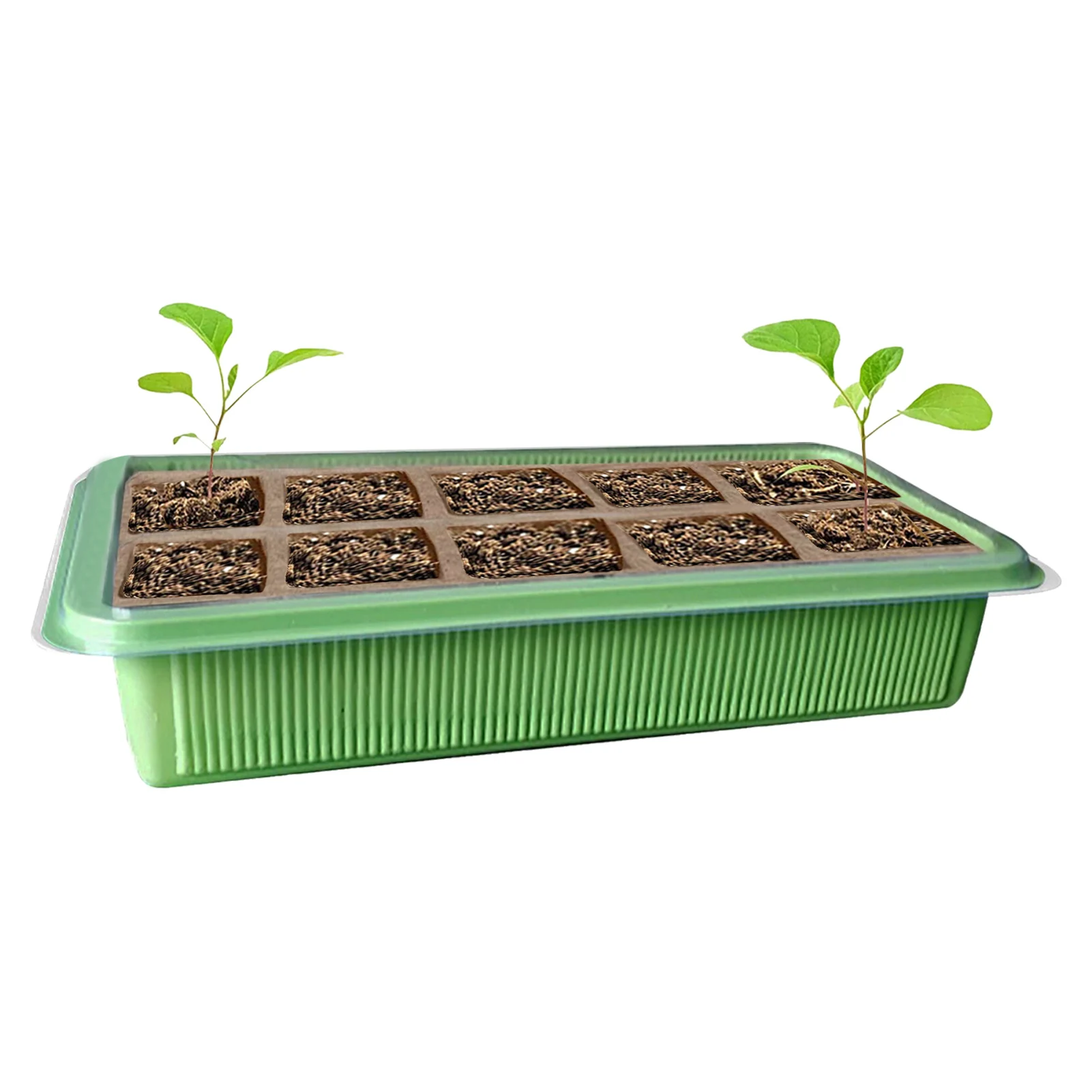 

10-cell Seed Starter Trays Nursery Pots Seedling Tray With Cover Garden Decoration Accessories Greenhouse Plant Germination Kit