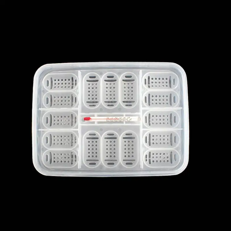 Инкубационная коробка для рептилий подходит инкубации змей ящериц с термометром