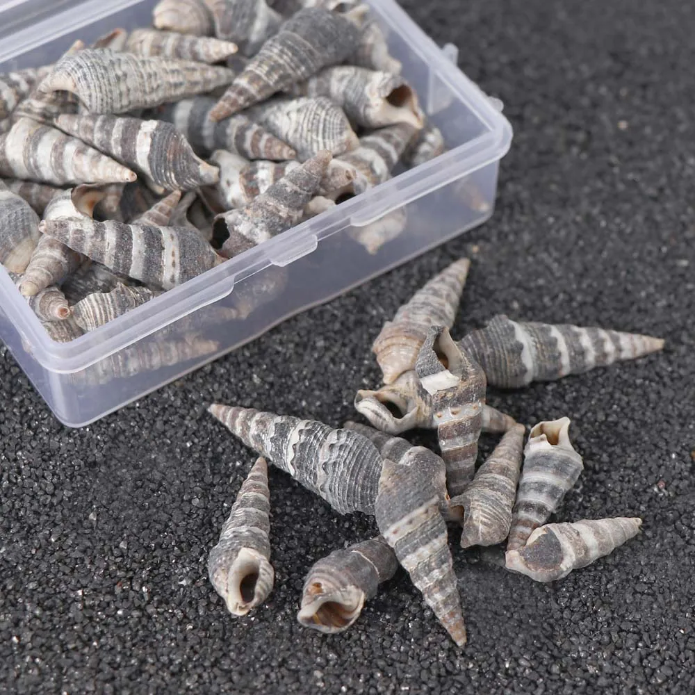 Около 28 г/кор. Природный раковин мини раковины кукурузы винтовые настенные