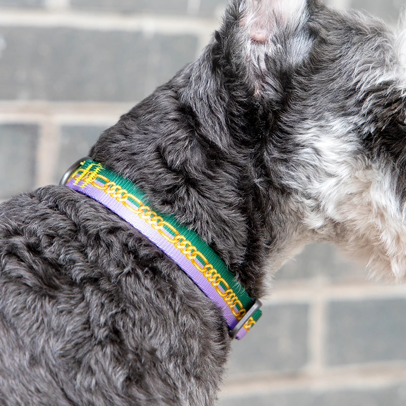 

Luxury Safety Cat Collar Designer Engraved Cute Adjustable Cat Collar Elastic Blue Gatos Accesorios Cats Accessories OO50QY