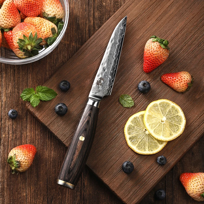 Нож кухонный из дамасской стали Kyokuto 67-слойный V-образный золотистый 10 дюймов -