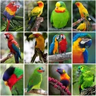 Алмазная картина 5D 