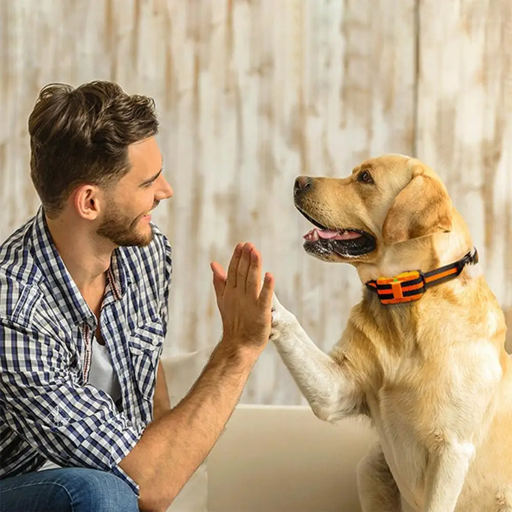 

Light Remote Hond Opleiding Apparaat Hond Training Kraag Waterdichte Afstandsbediening Training Collar Usb Oplaadbare