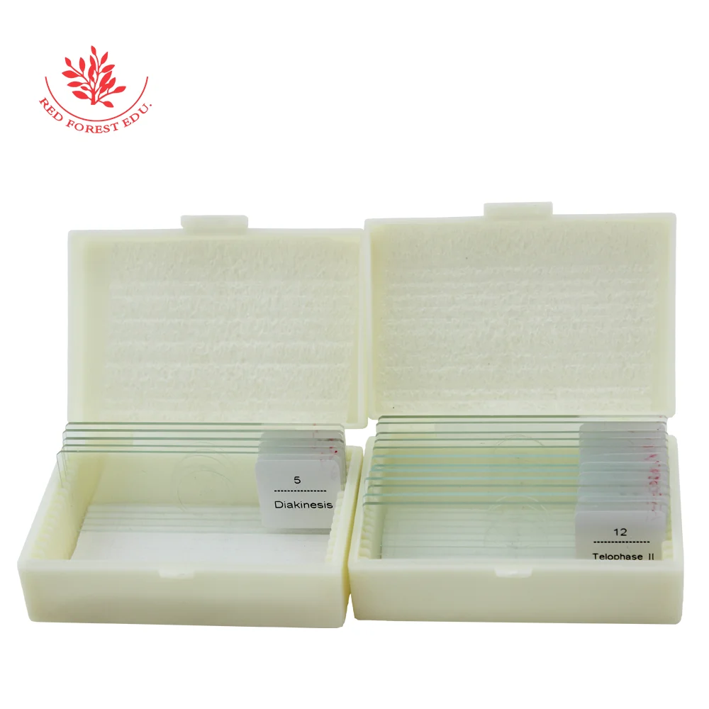Слайды подготовленные для микроскопа Митоз и миоз растений с образцами обучения