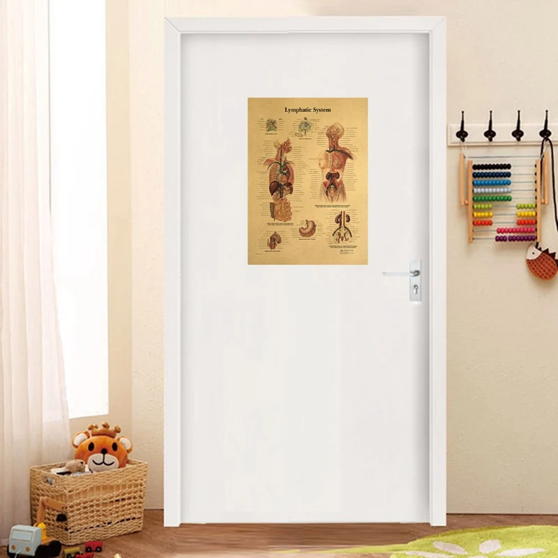 Иллюстрация человеческого тела лимфатическая система крафт-бумага Ретро плакат