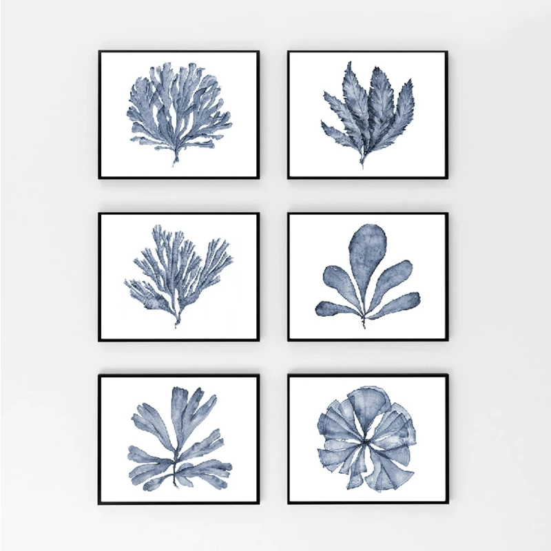 Постеры и принты веера синего кораллового моря Современные художественные