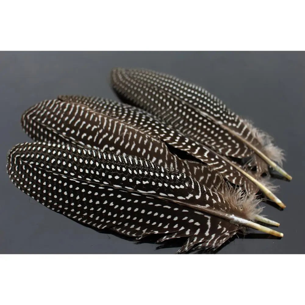 

Tigofly 12 pcs Guinea Pearl Hen Wing Tail Quills Feathers Wing material Fly Tying Materials