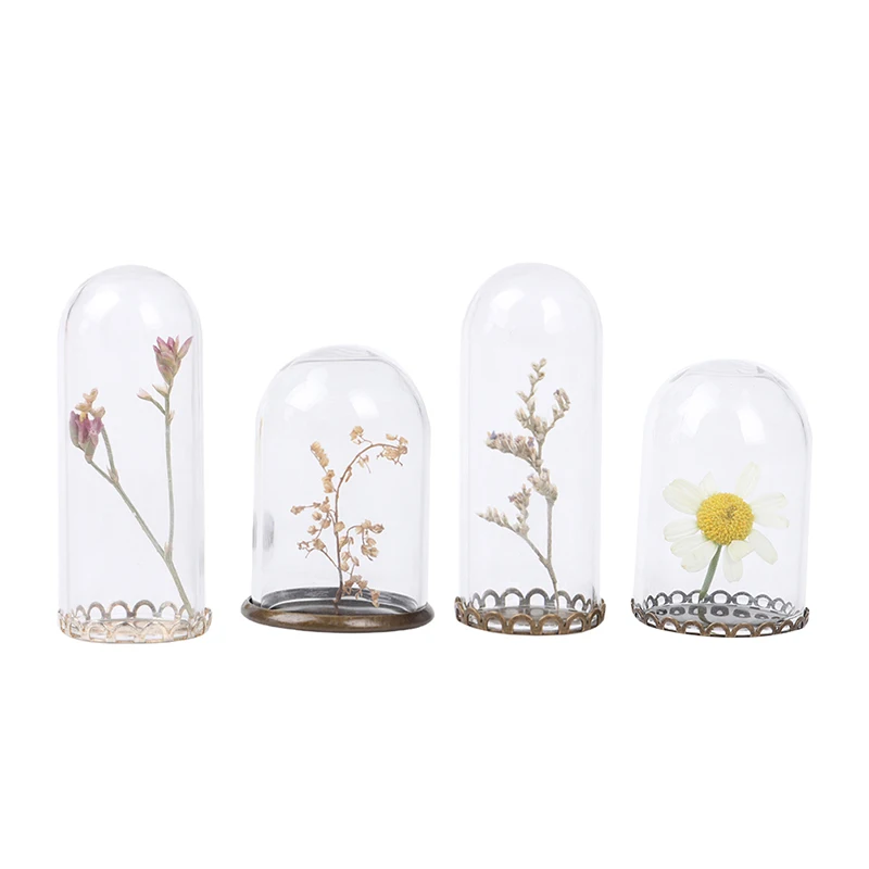 

Миниатюрная стеклянная крышка дисплея с кружевной нижней поддержкой DIY ювелирные аксессуары