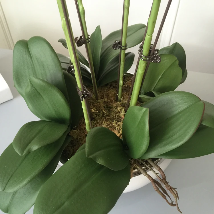

1 Set High Grade Orchids Arrangement Latex Silicon Real Touch Big Size Luxury Table Flower Home Hotel Decor No Vase