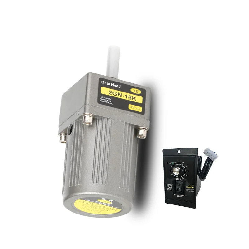 AC220V 50 Гц/60 Гц 6 Вт AC мотор-редуктор высокий крутящий момент Реверсивный мотор