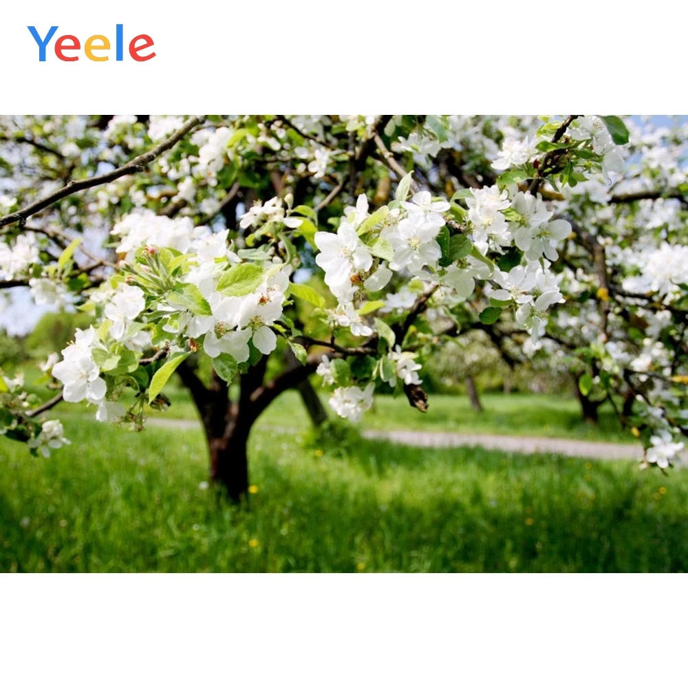 Виниловый фон для студийной фотосъемки с изображением весеннего цветка дерева