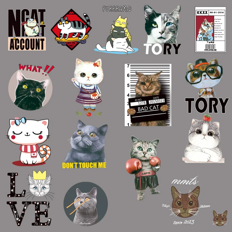 

Animal Funny Suspect cat Boxer cat DIY Heat Transfer Iron On Patches For Clothes T-Shirt Thermal Stickers Decoration Printing