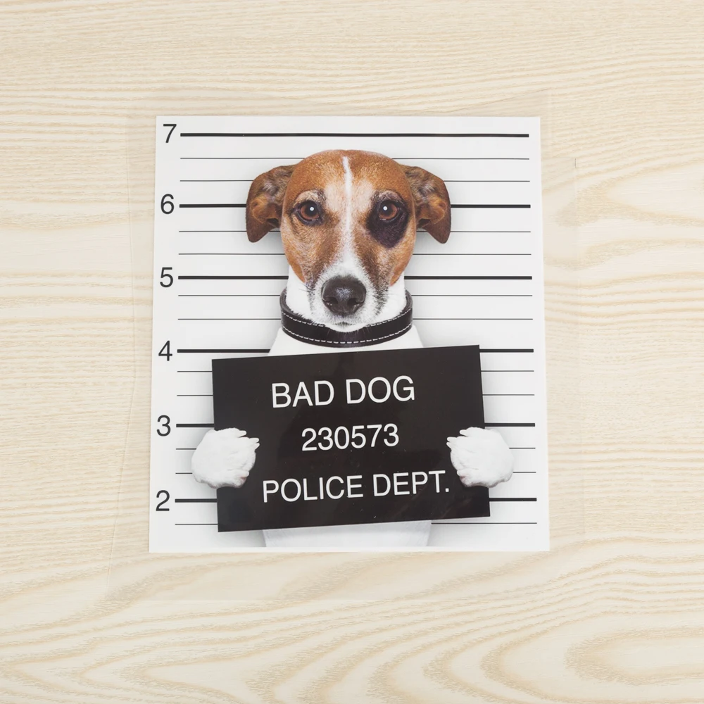 XC Crimal Bad Dog глажка патч наклейки теплопередача DIY аксессуары одежда патчи забавные животные a-уровень моющиеся аппликации