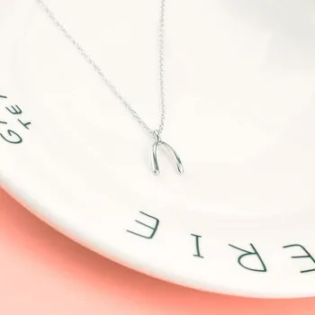

S925 Pure Silver Wishbone Necklace Female Korean Version Clavicle Chain Unicorn Simple Creative Versatile Trendsetter