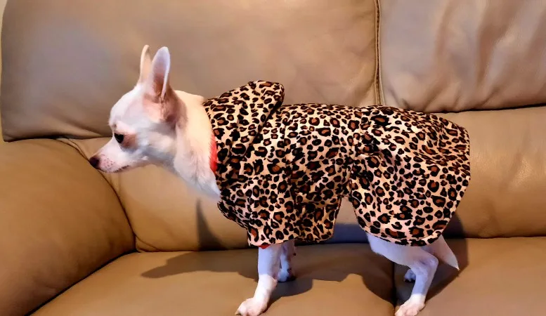 

Double Side Wearing Pet Dogs Leopard Dress Tops Puppy Cotton Hoodie Clothes Dots Design Puppy Jacket Coat Drop Shipping Brown